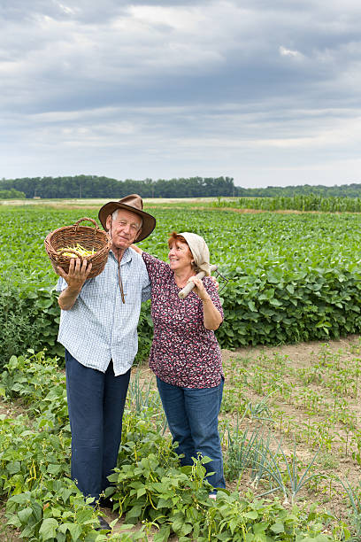 istock Senior couple on farmland 480911188