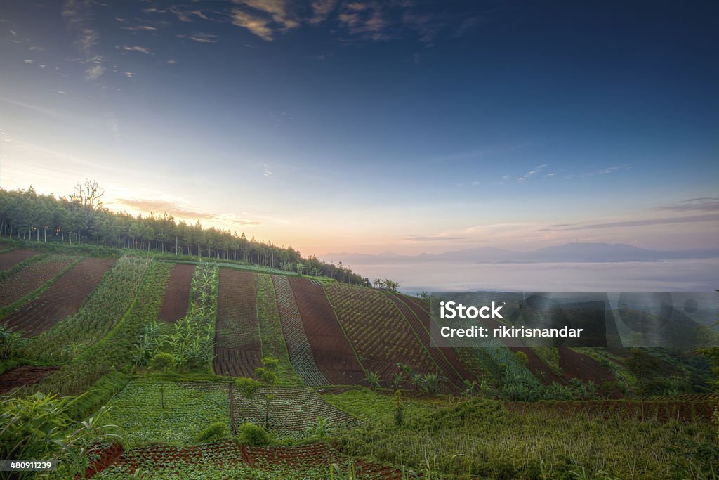Drammatica alba dalla cima della collina - Foto stock royalty-free di Agricoltura
