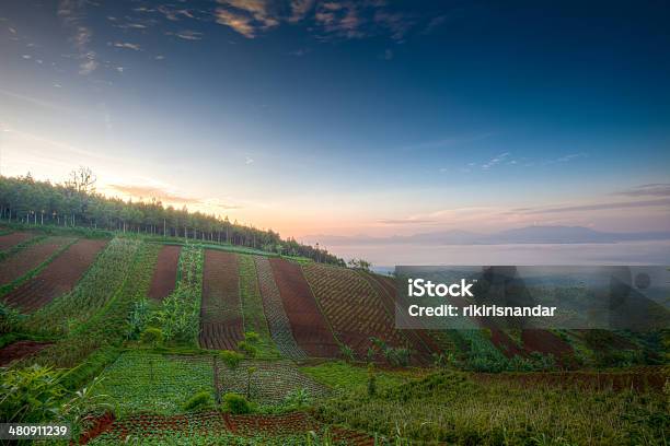 Drammatica Alba Dalla Cima Della Collina - Fotografie stock e altre immagini di Agricoltura - Agricoltura, Albero, Ambientazione tranquilla