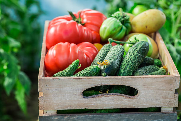istock Healthy tomatoes and cucumbers to groceries 480914244