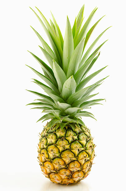 pineapple with leaves on white background. stock photo