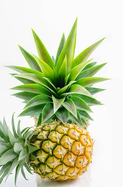 pineapple  on white background. stock photo