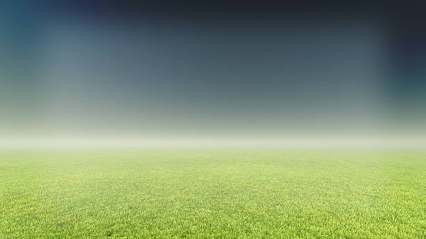 istock grass and fog background 480915262