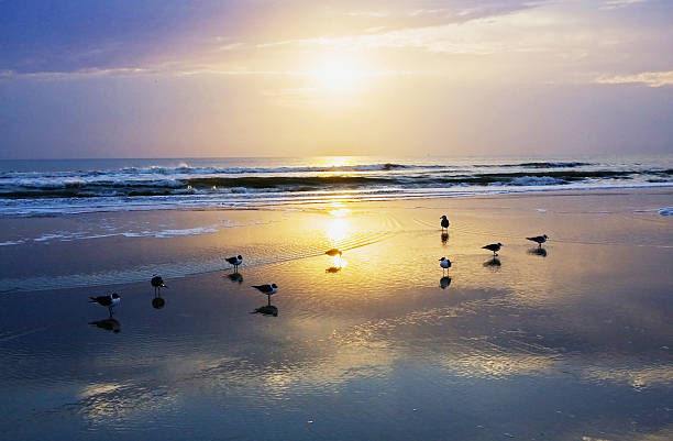 istock Early morning at Atlantic ocean beach 480915692