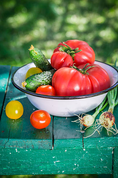 istock Colorful vegetables from countryside 480915954