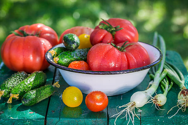 istock Colorful mix vegetables from greenhouse 480923412