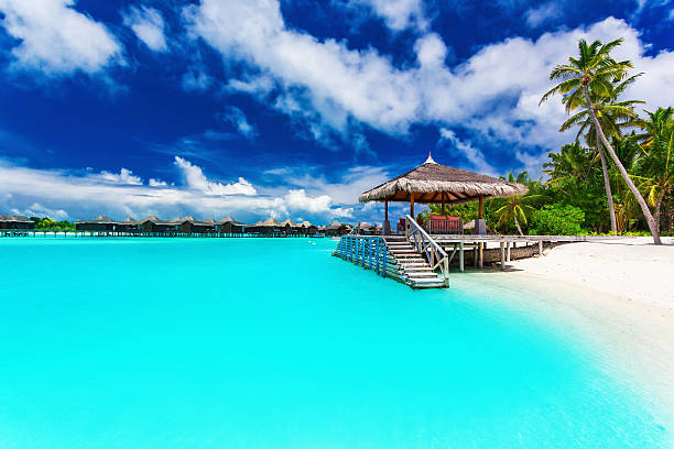 istock Jetty and palm trees with steps into tropical blue lagoon 480927088
