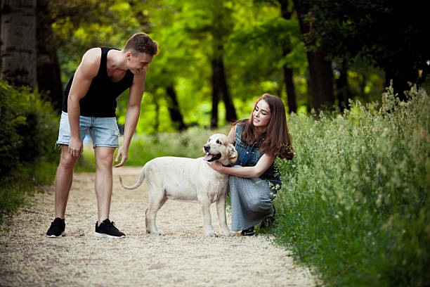 istock walk in the park with a dog 480927502