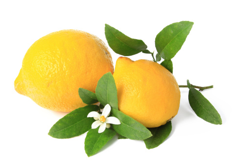 Lemon (Citrus x limon) - isolated ripe fruit against white background with a little twig and blossom