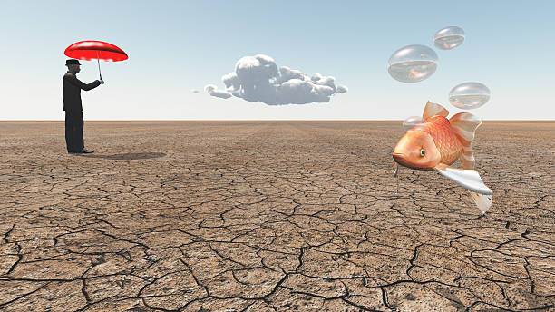 Man and floating fish in desert Man and floating fish in desert waterless stock pictures, royalty-free photos & images