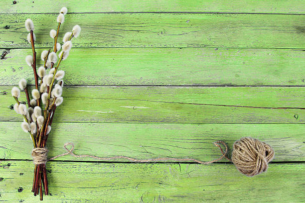 istock pussy willow twigs on wood background 480928527