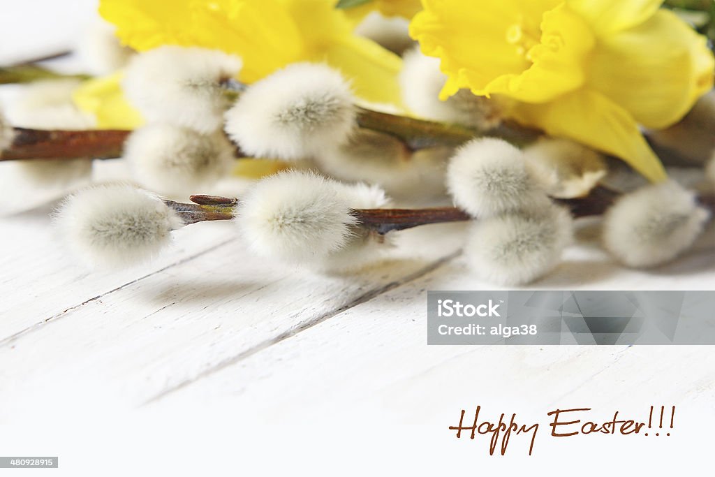 Narcisses de Pâques et pussy willows - Photo de Bouquet formel libre de droits