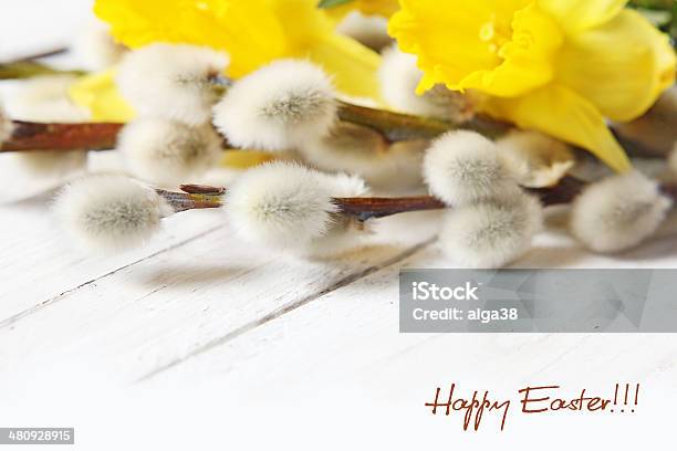 Páscoa Narciso E Pussy Willows - Fotografias de stock e mais imagens de Amarelo - Amarelo, Arranjo, Artigo de Decoração