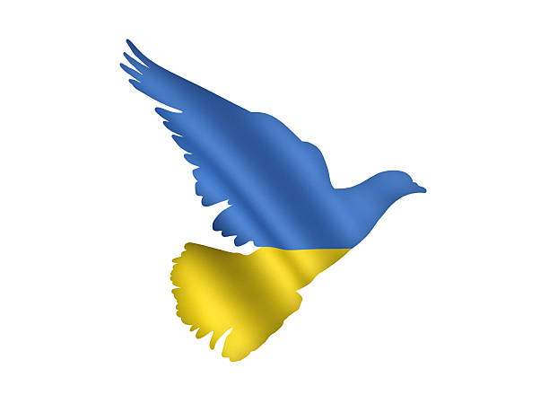 call for peace in ukraine illustration of call for peace in Ukraine, a dove symbol of peace in colors of Ukrainian flag 2014 stock pictures, royalty-free photos & images