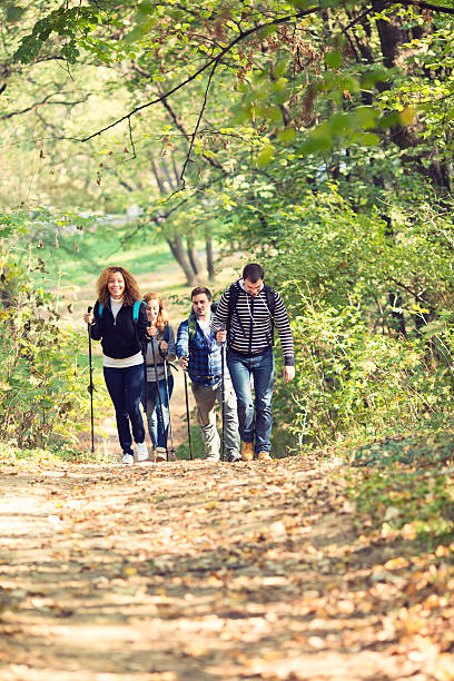 istock Friends hiking in forest together. 480930935