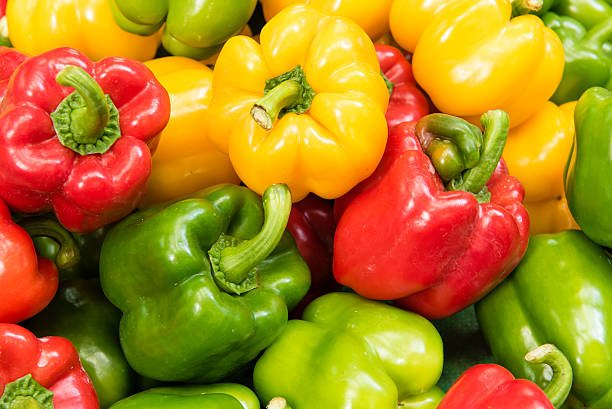 pimentão - green bell pepper bell pepper pepper vegetable - fotografias e filmes do acervo
