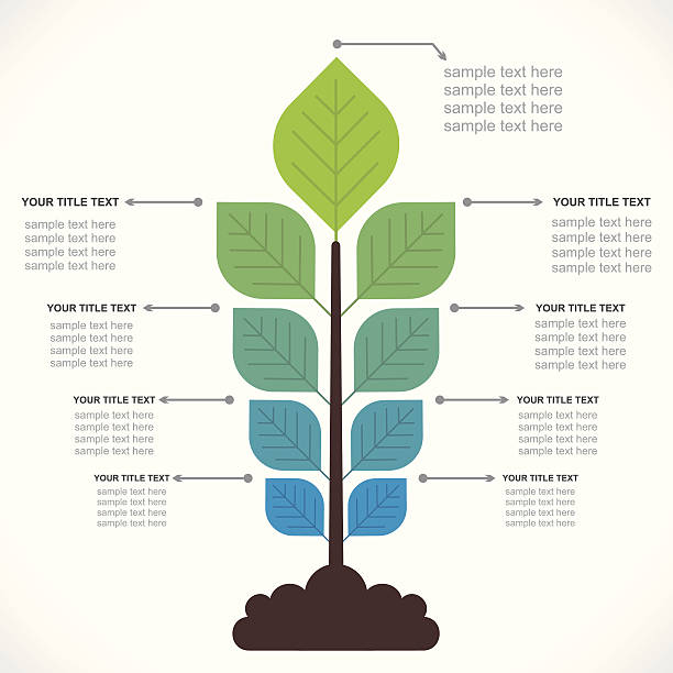 agribusiness info-grafiken - vector leaf tree plant stock-grafiken, -clipart, -cartoons und -symbole