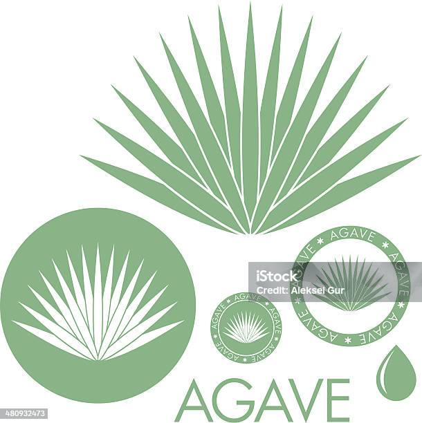 Lagave Vecteurs libres de droits et plus d'images vectorielles de Agave - Agave, Vectoriel, Illustration