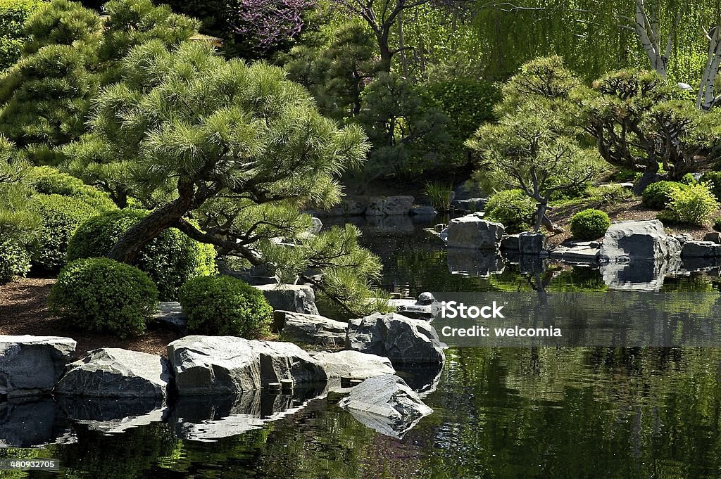Japanese Garden Beautiful Japanese Garden with Small Pond. Garden Design Animal Stock Photo