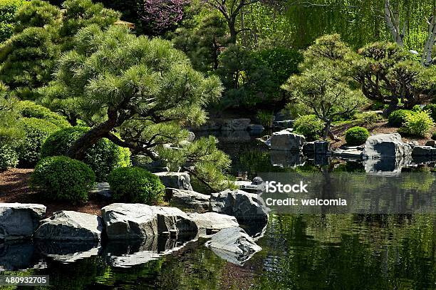 Japanese Garden Stock Photo - Download Image Now - Animal, Arranging, Botany