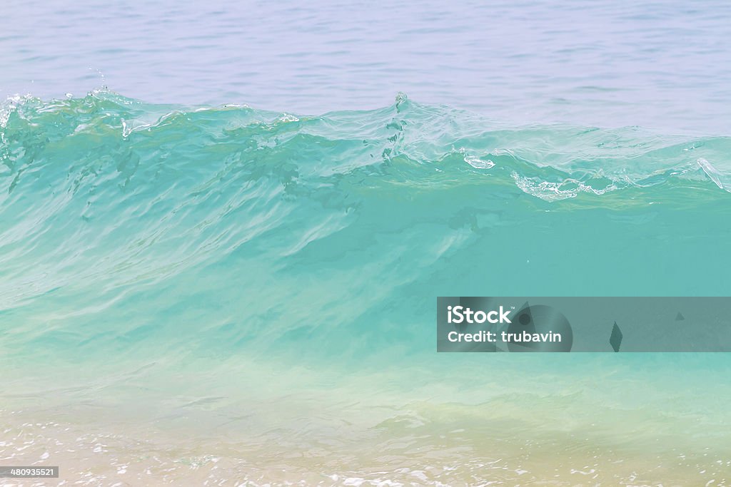 Ocean wave picture of the ocean wave.Indian ocean. Aquatic Organism Stock Photo
