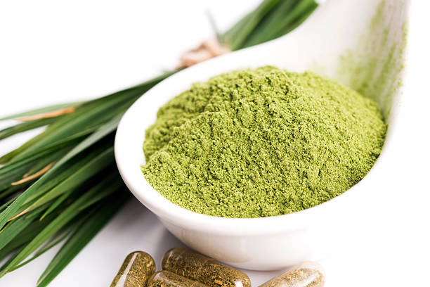 istock Young barley grass. Detox superfood. 480935744