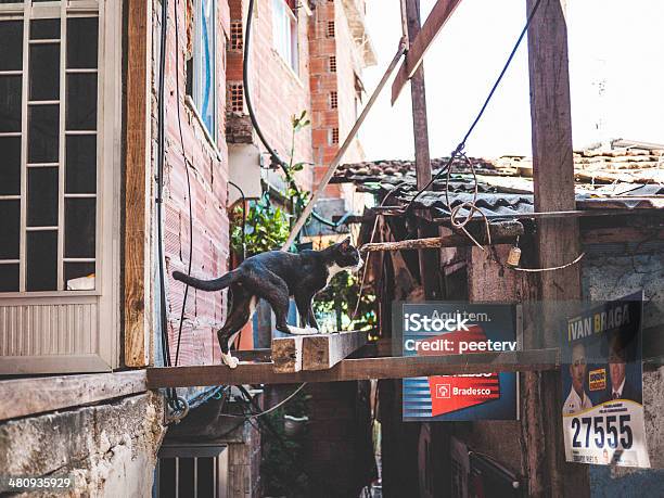 Favela Ruas - Fotografias de stock e mais imagens de Brasil - Brasil, Eleição, Poster