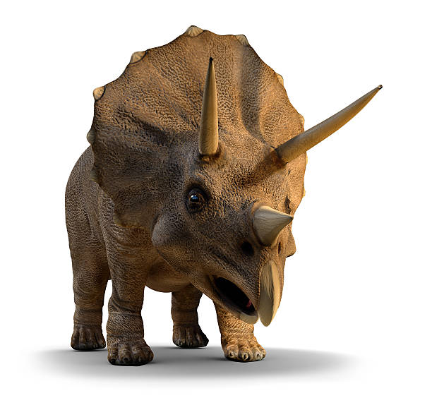 3 d triceratops - geologic time scale 뉴스 사진 이미지