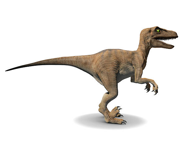 3d Velociraptor 3d side view render of a velociraptor raptor dinosaur stock pictures, royalty-free photos & images