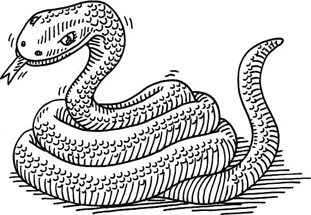 snake tier zeichnen - animal tongue stock-grafiken, -clipart, -cartoons und -symbole