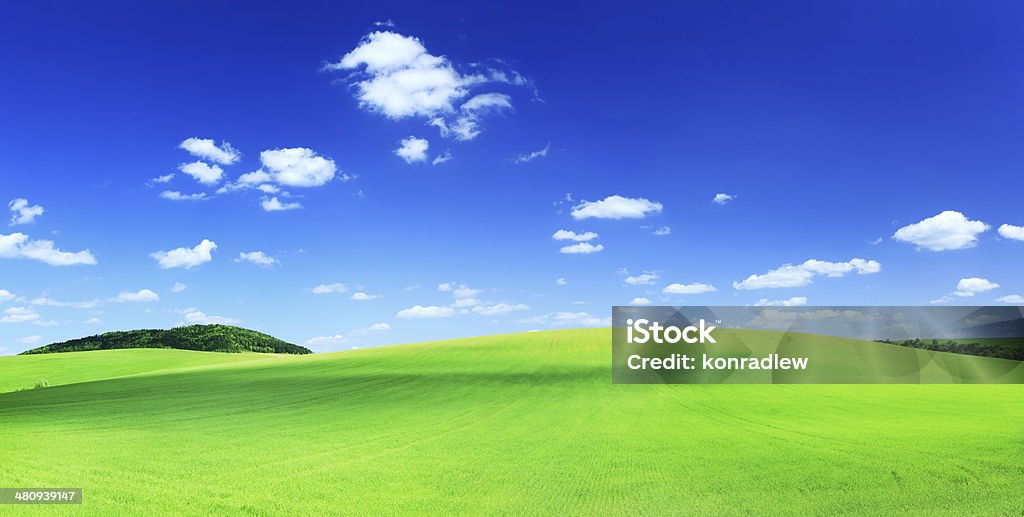 Paesaggio estivo con erba verde, campo, Meadow XXXL immagine - Foto stock royalty-free di Agricoltura