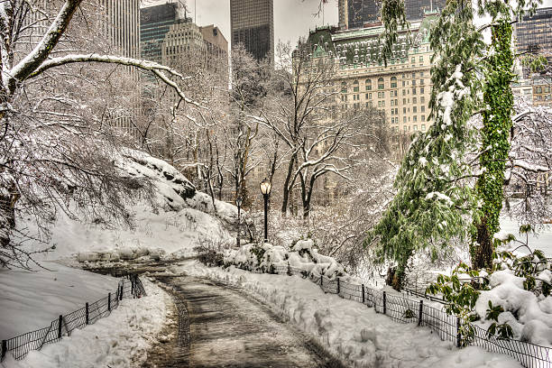 istock Central Park, New York City 480941741