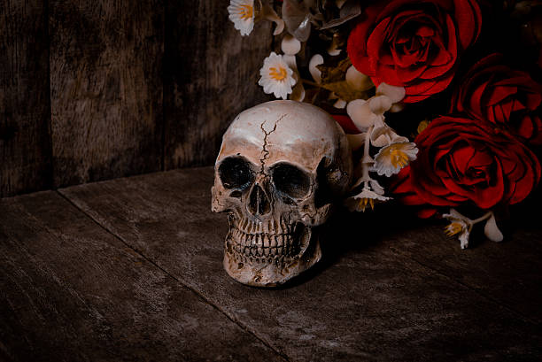 istock Still life skull on wood 480944076