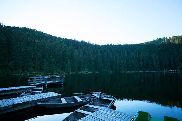 istock Rowboats and pier in lake Mummelsee 480944162