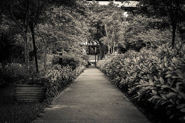 The path in the garden, Vintage landscape