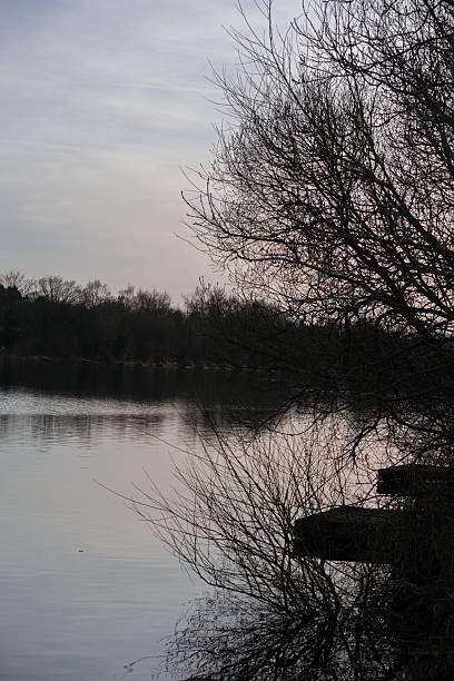istock Earlswood Lakes 480948118