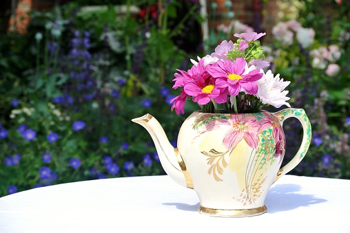 Ceramic cups , teapot and white dog roses on a old wooden table in garden. Aromatic and invigorating tea with wild rose.