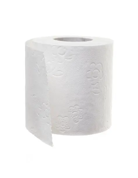 Photo of toilet paper