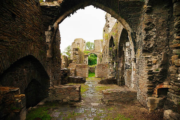 istock Wet abbey ruins covered in vegetation 480950215