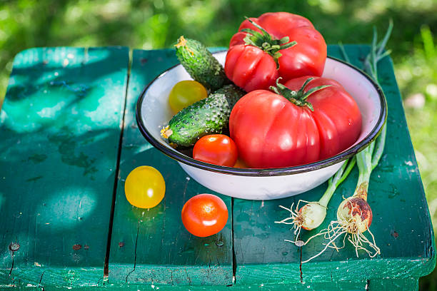 istock Colorful vegetables from greenhouse 480951662