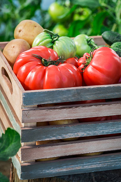 istock Various vegetables to groceries 480952212