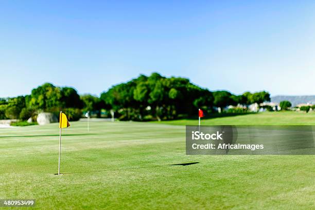 Campo De Golf Con Dos Banderas En El Campo En Langebaan Foto de stock y más banco de imágenes de Aire libre