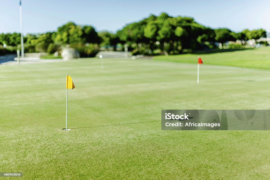 Campo de golfe com duas bandeiras no campo em Langebaan - Royalty-free Golfe Foto de stock