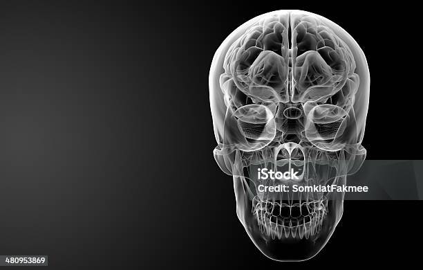 Человеческий Мозг X Ray — стоковые фотографии и другие картинки Анатомия - Анатомия, Внутренний орган человека, Воображение