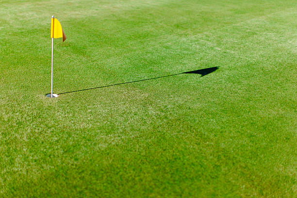 istock Golf course with yellow flag on putting green 480954035