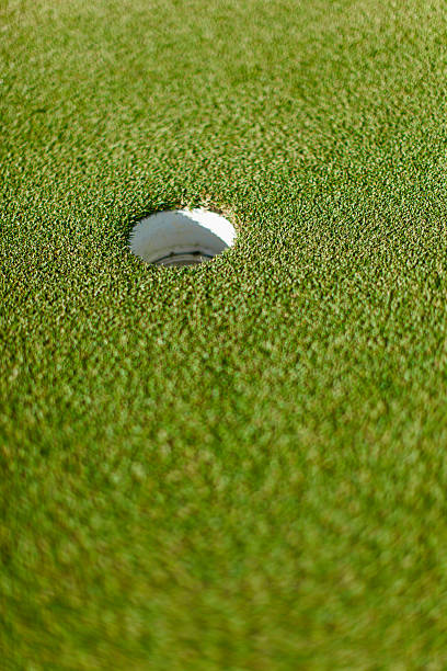 istock Golf hole on putting green in Langebaan 480954085
