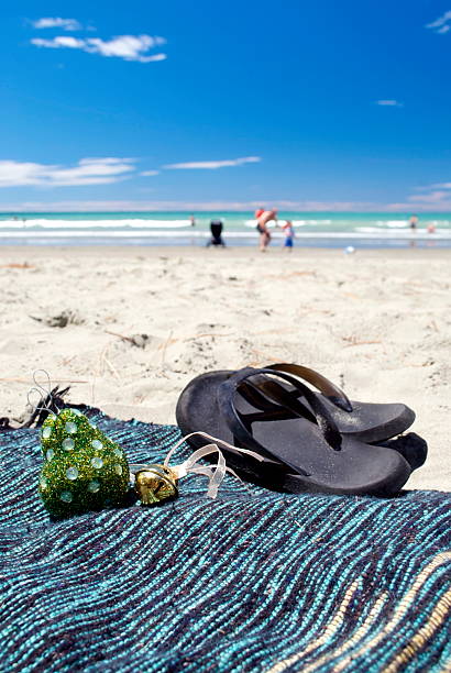 Horned sea stars on sands with turquoise sea background.