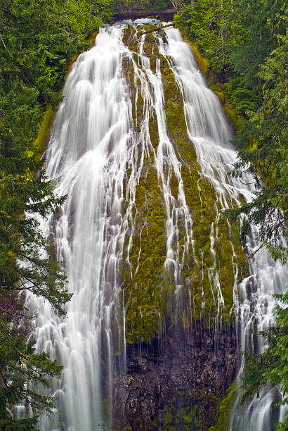 linda cascata - lower proxy falls imagens e fotografias de stock