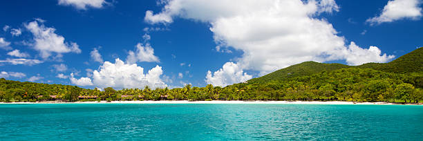 panorama of scott beach w caneel bay na st.john, usvi - caneel bay zdjęcia i obrazy z banku zdjęć