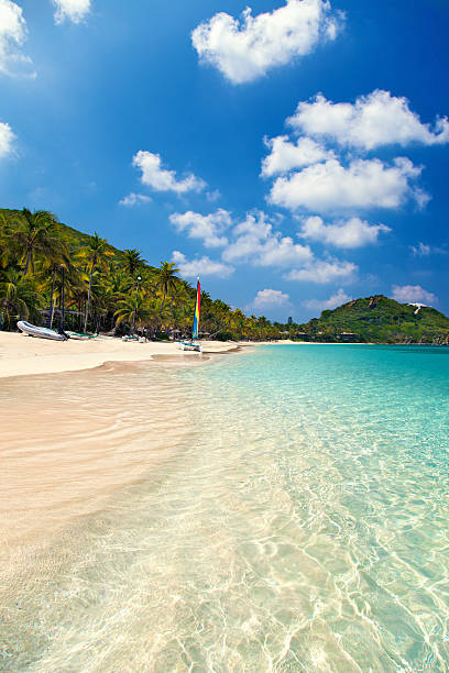 istock Deadman's Beach in Peter Island, British Virgin Islands 480955023